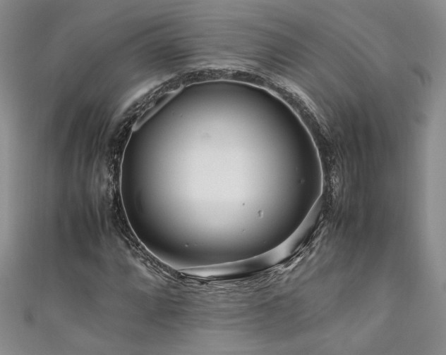 X0000111191064200907011407