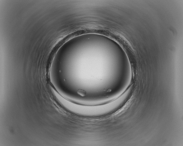 X0000111191065200907011407