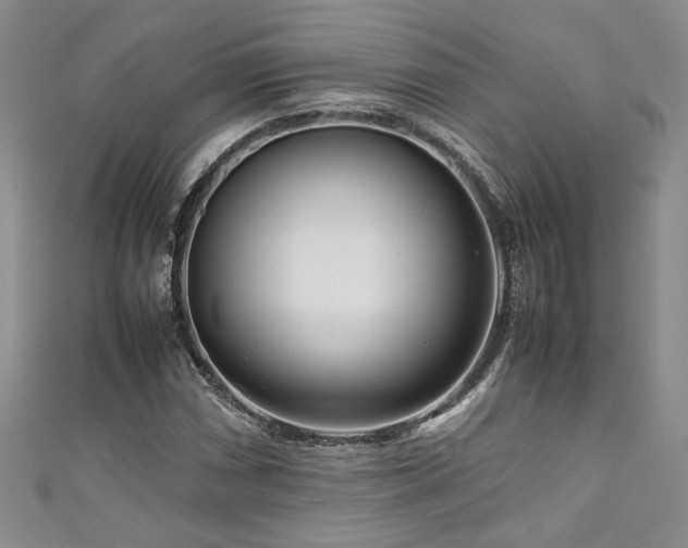 X0000111191066200907011407