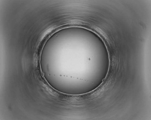 X0000111191067200907011407