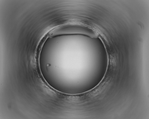 X0000111191068200907011407