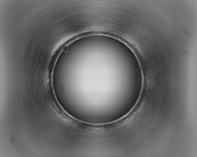 X0000111191070200907011407