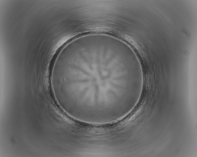 X0000111191071200907011407