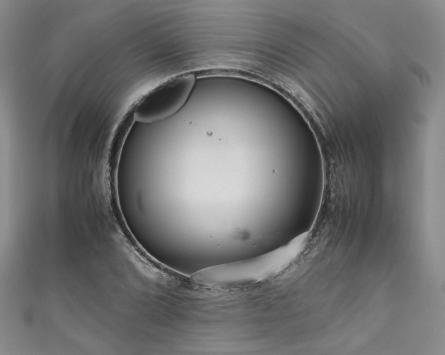 X0000111191072200907011407