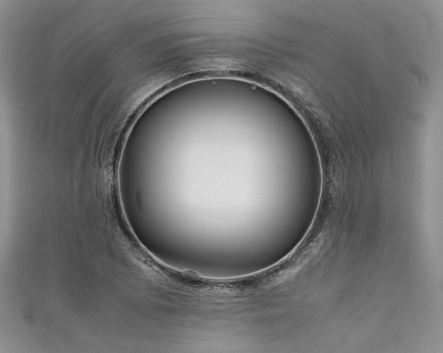 X0000111191073200907011407