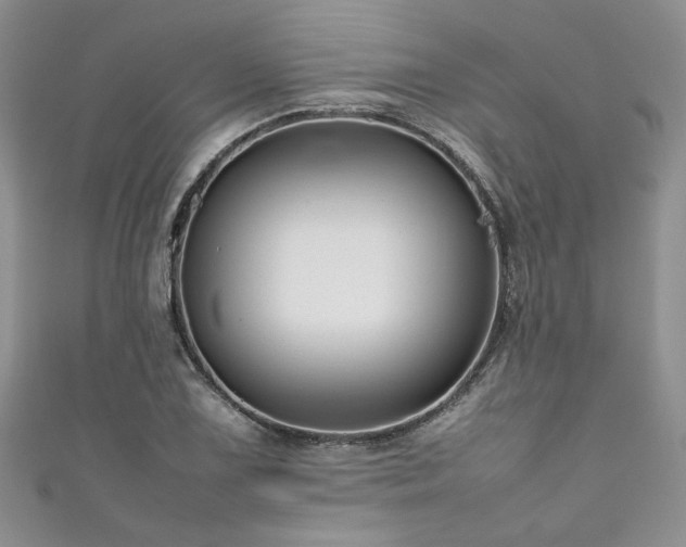 X0000111191075200907011407