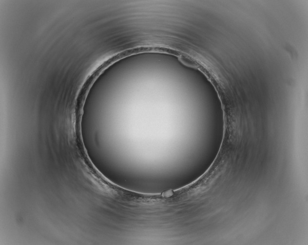 X0000111191076200907011407