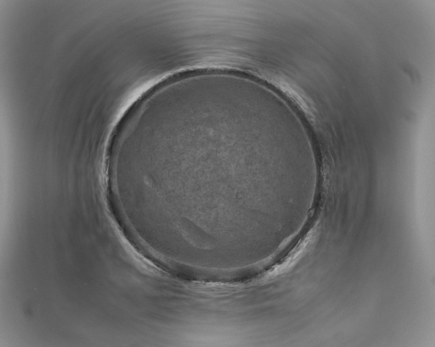 X0000111191077200907011407