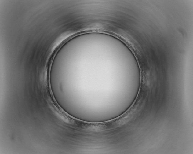 X0000111191078200907011407