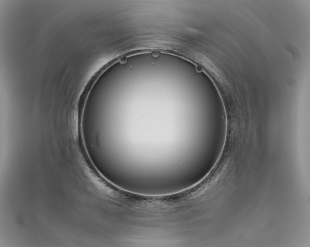 X0000111191079200907011407