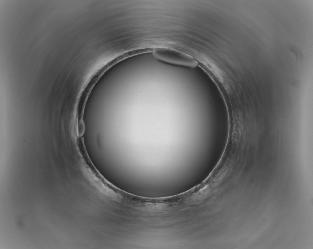 X0000111191080200907011407