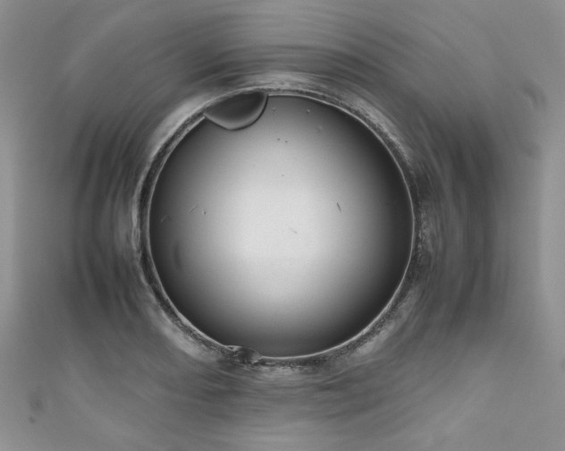 X0000111191082200907011407