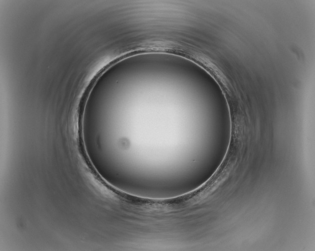 X0000111191083200907011407