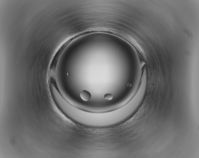 X0000111191084200907011407