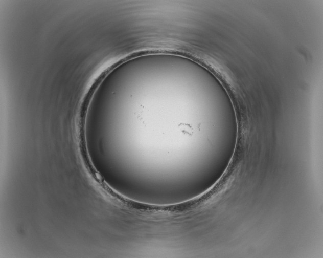 X0000111191085200907011407