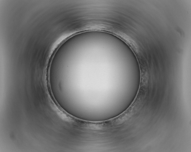 X0000111191086200907011407