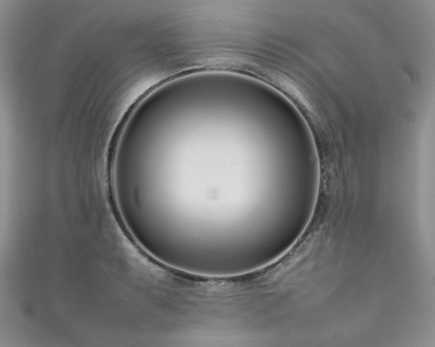 X0000111191087200907011407