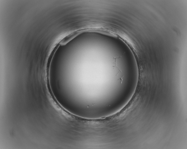 X0000111191088200907011407