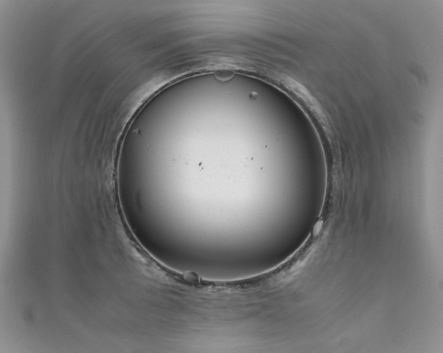 X0000111191089200907011407