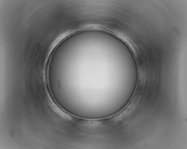 X0000111191090200907011407