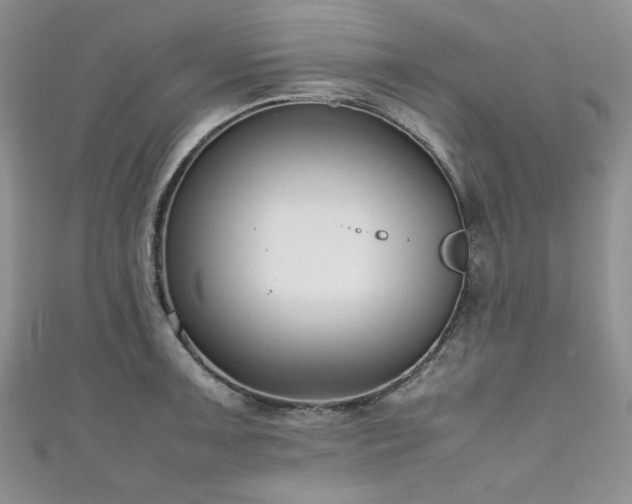 X0000111191091200907011407