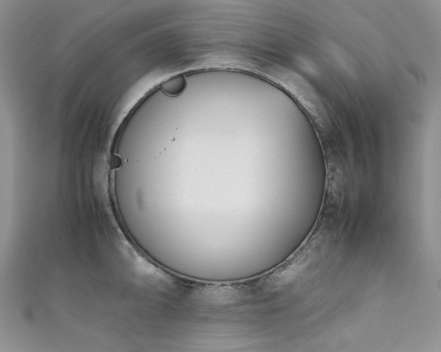 X0000111191094200907011407