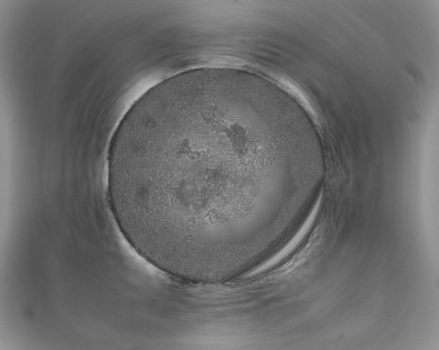 X0000111191095200907011407