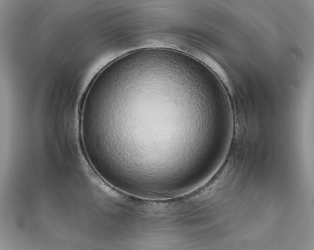 X0000111191096200907011407