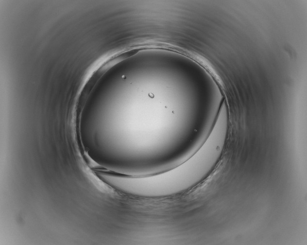 X0000111191098200907011407