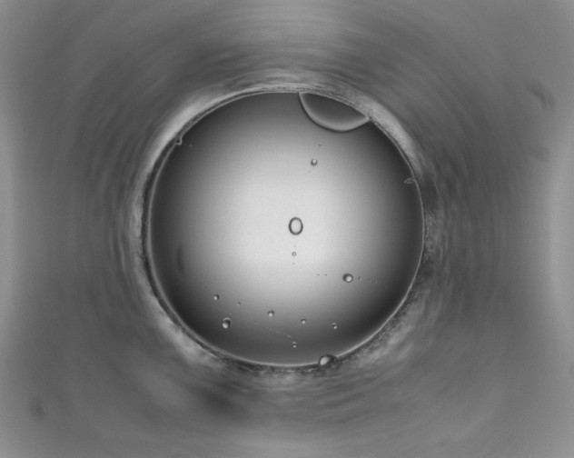 X0000111191099200907011407