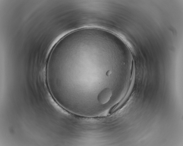 X0000111191100200907011407