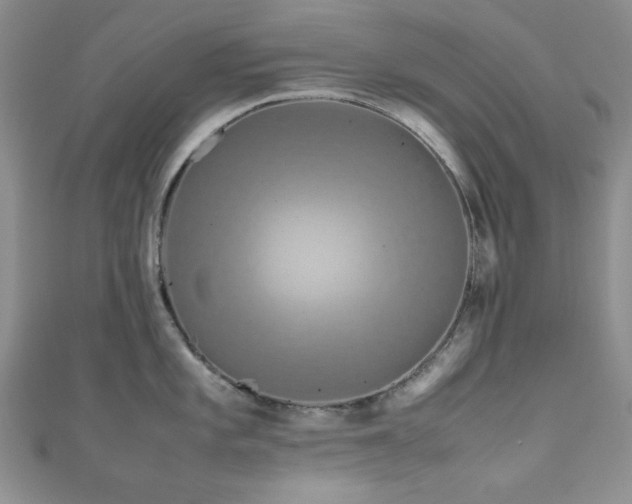 X0000111191101200907011407