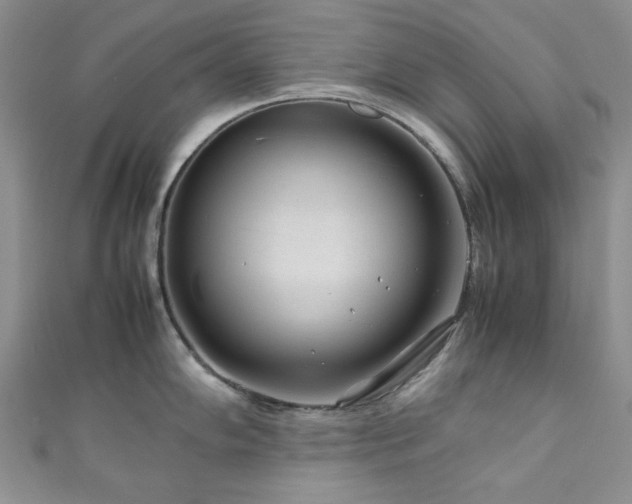 X0000111191102200907011407