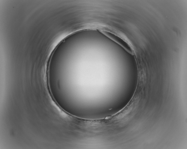 X0000111191103200907011407