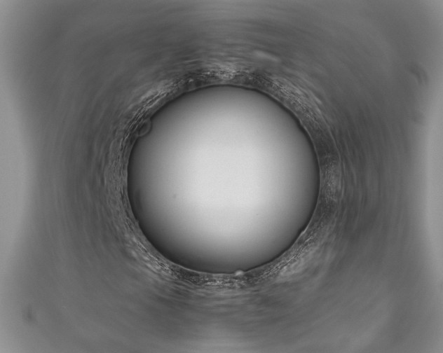 X0000111191105200907011406