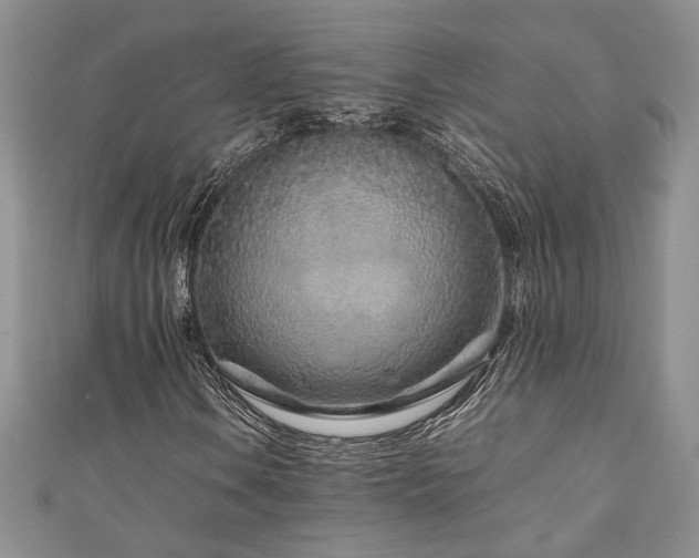 X0000111191106200907011406