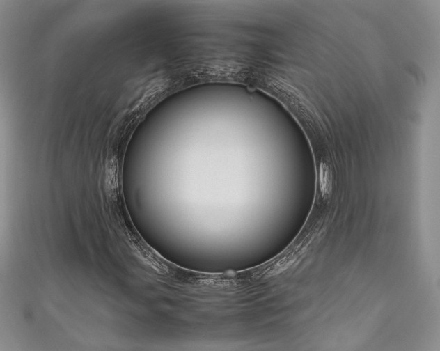 X0000111191107200907011406