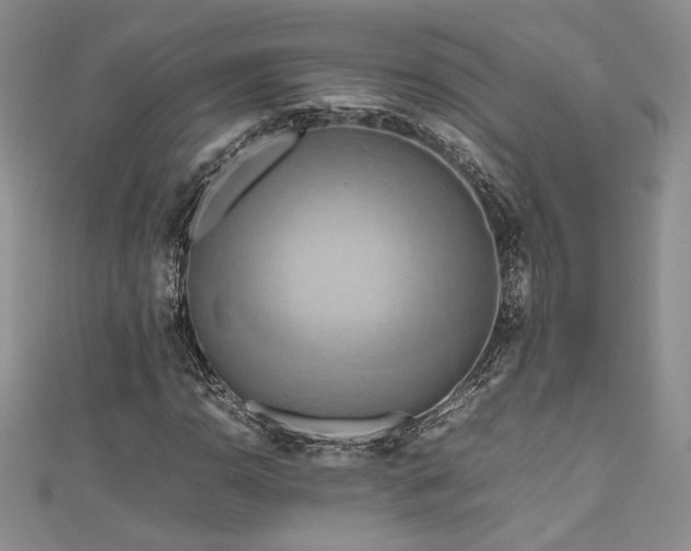 X0000111191110200907011406