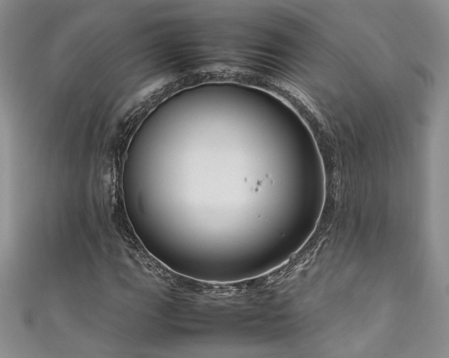 X0000111191111200907011406