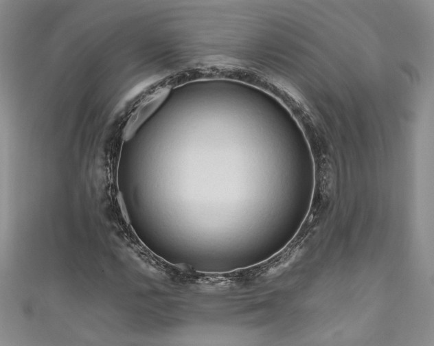 X0000111191112200907011406