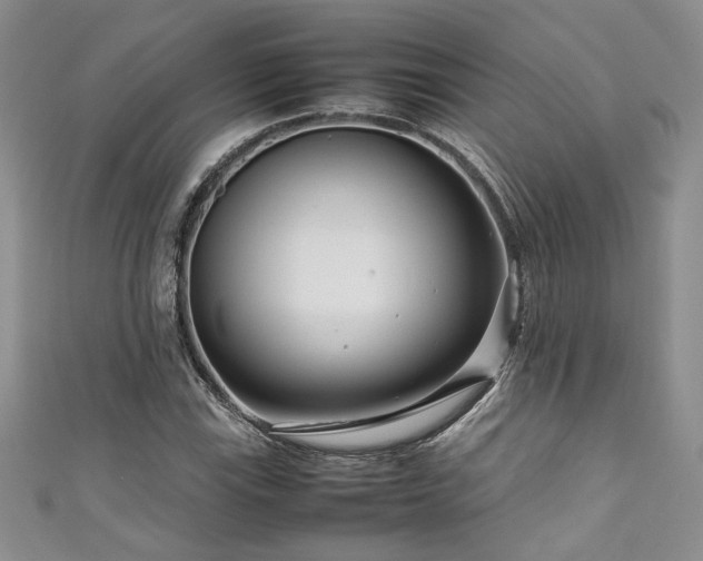 X0000111191115200907011406