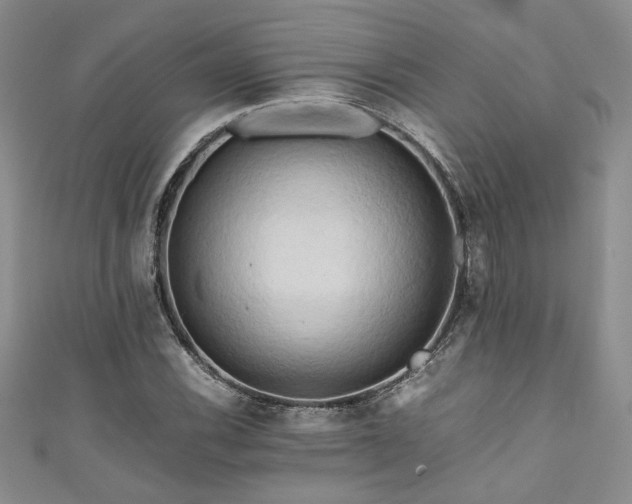 X0000111191116200907011406