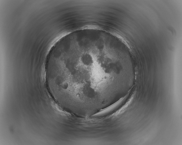 X0000111191117200907011406