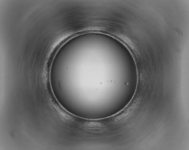 X0000111191119200907011406