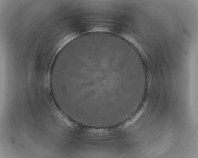 X0000111191121200907011406