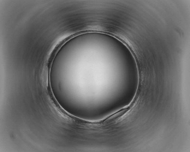 X0000111191123200907011406