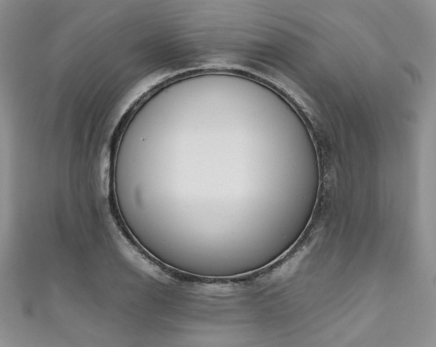 X0000111191126200907011406