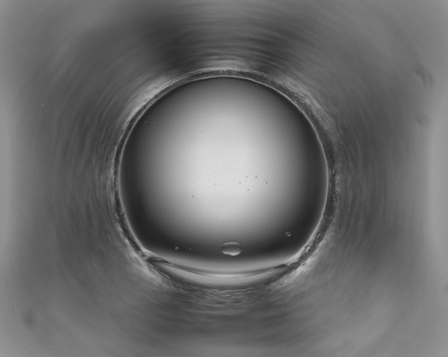 X0000111191129200907011406