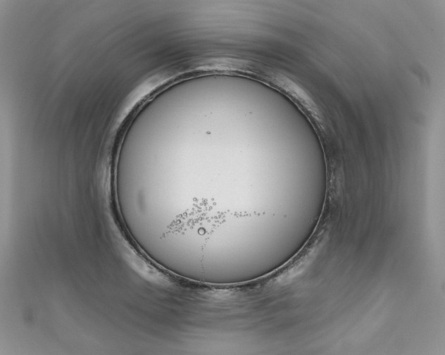 X0000111191130200907011406