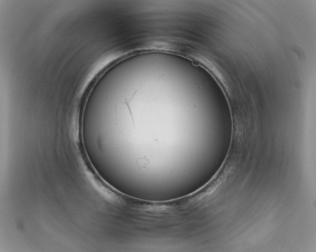 X0000111191131200907011406